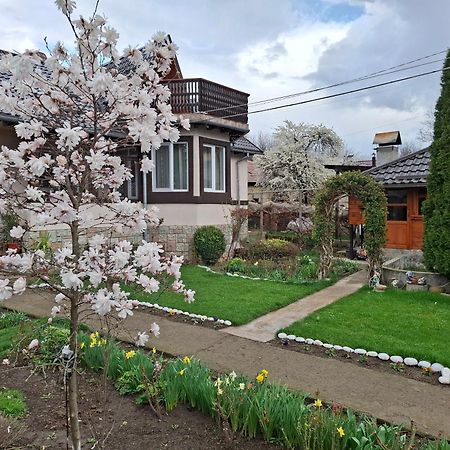 Apartmán Casa Fetic Nehoiu Exteriér fotografie