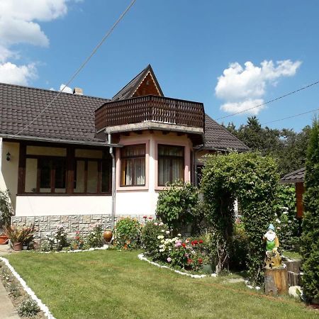 Apartmán Casa Fetic Nehoiu Exteriér fotografie