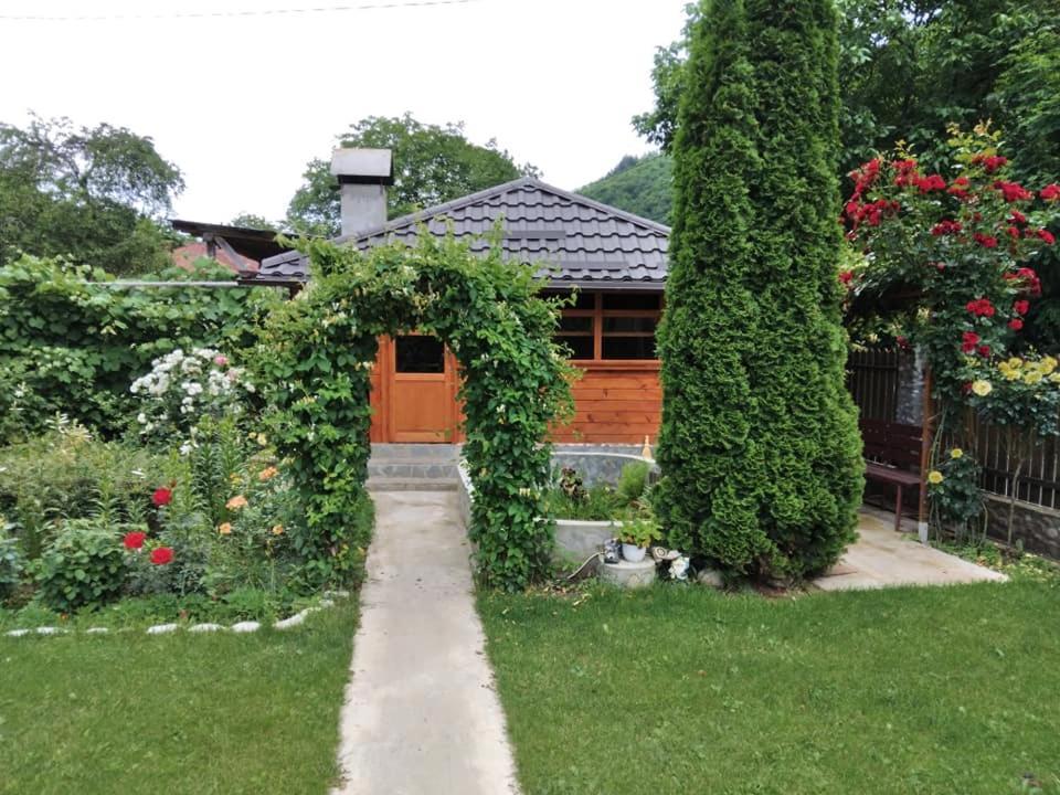 Apartmán Casa Fetic Nehoiu Exteriér fotografie