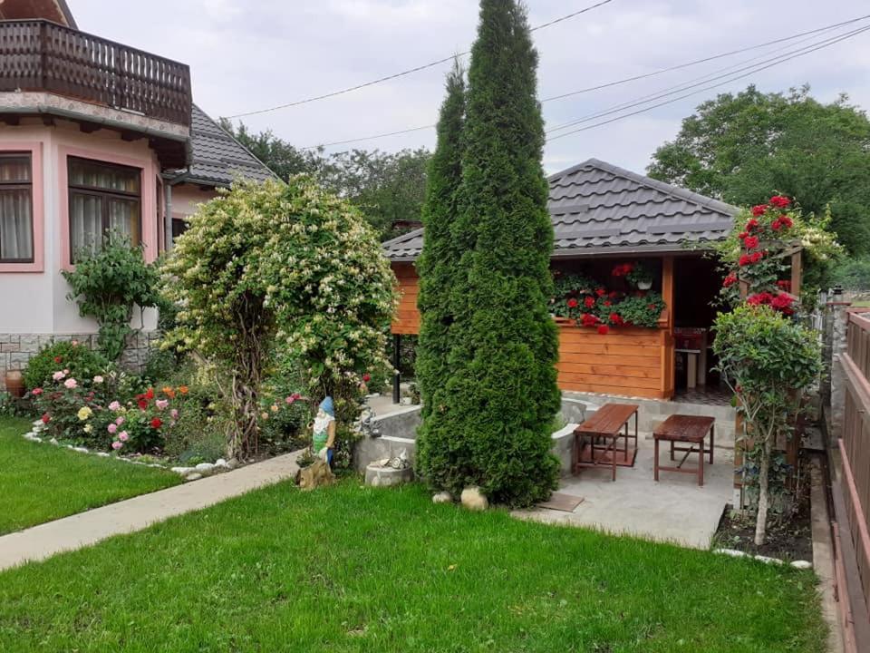 Apartmán Casa Fetic Nehoiu Exteriér fotografie