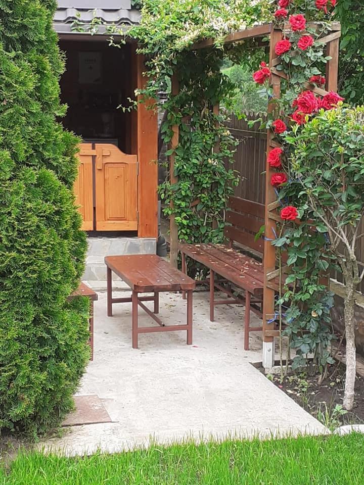 Apartmán Casa Fetic Nehoiu Exteriér fotografie