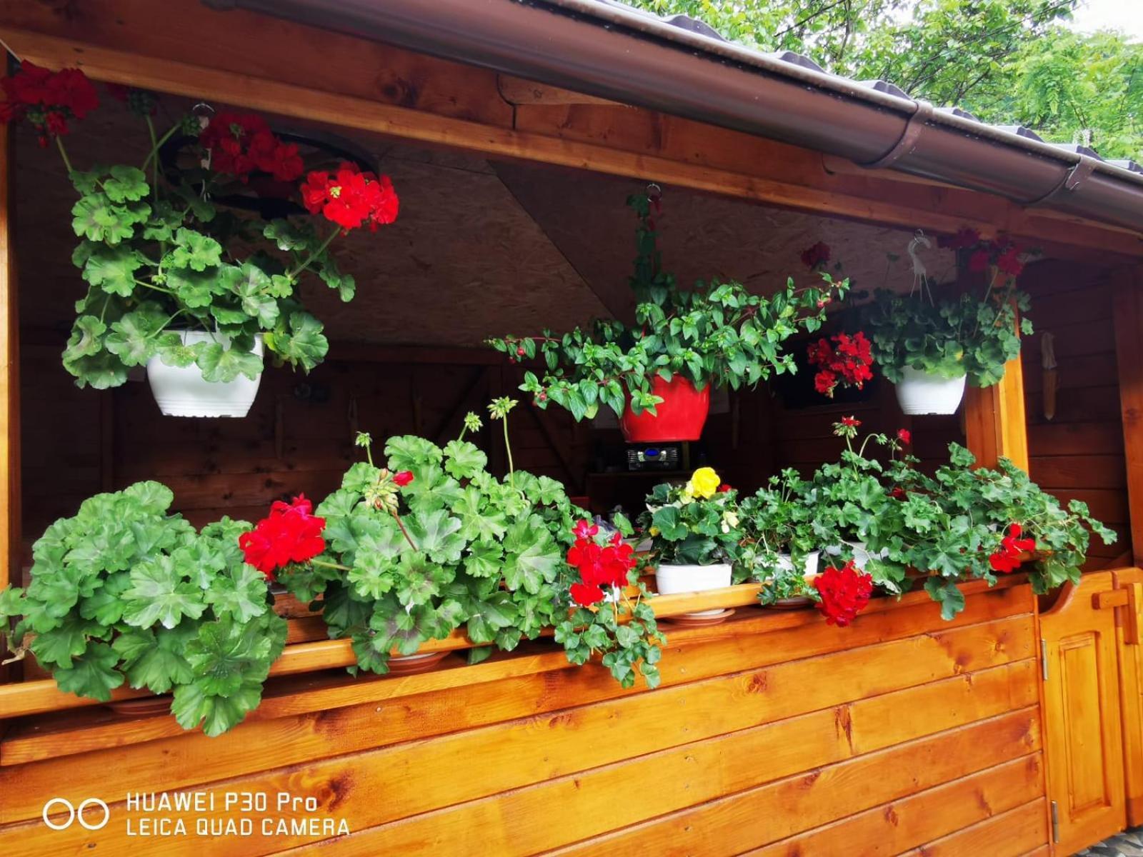 Apartmán Casa Fetic Nehoiu Exteriér fotografie