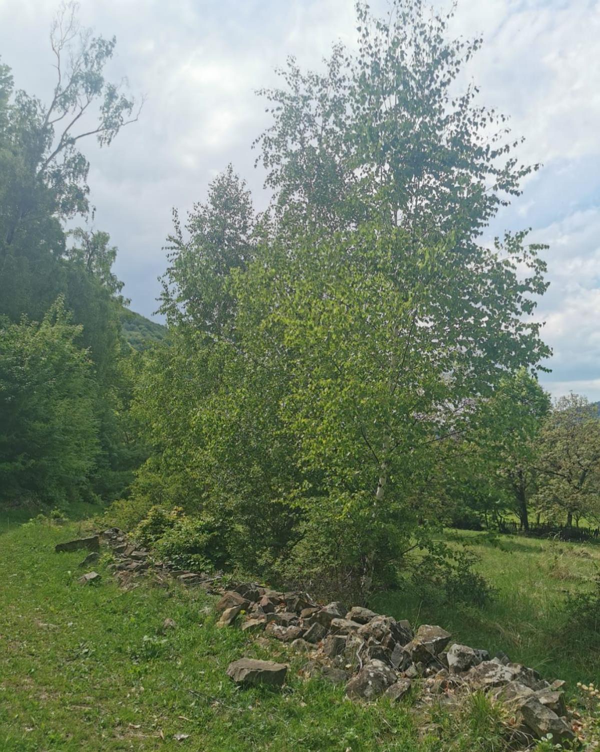 Apartmán Casa Fetic Nehoiu Exteriér fotografie