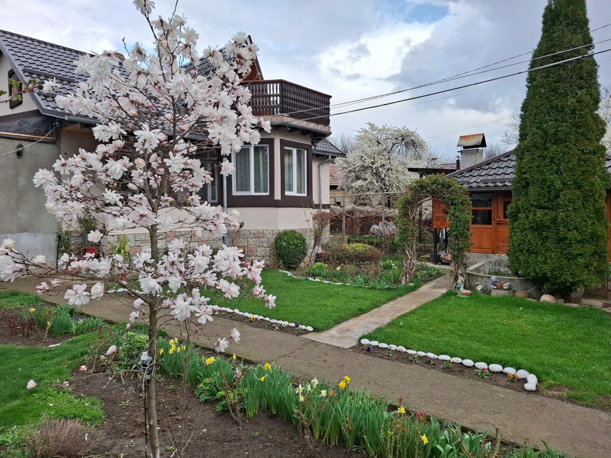 Apartmán Casa Fetic Nehoiu Exteriér fotografie