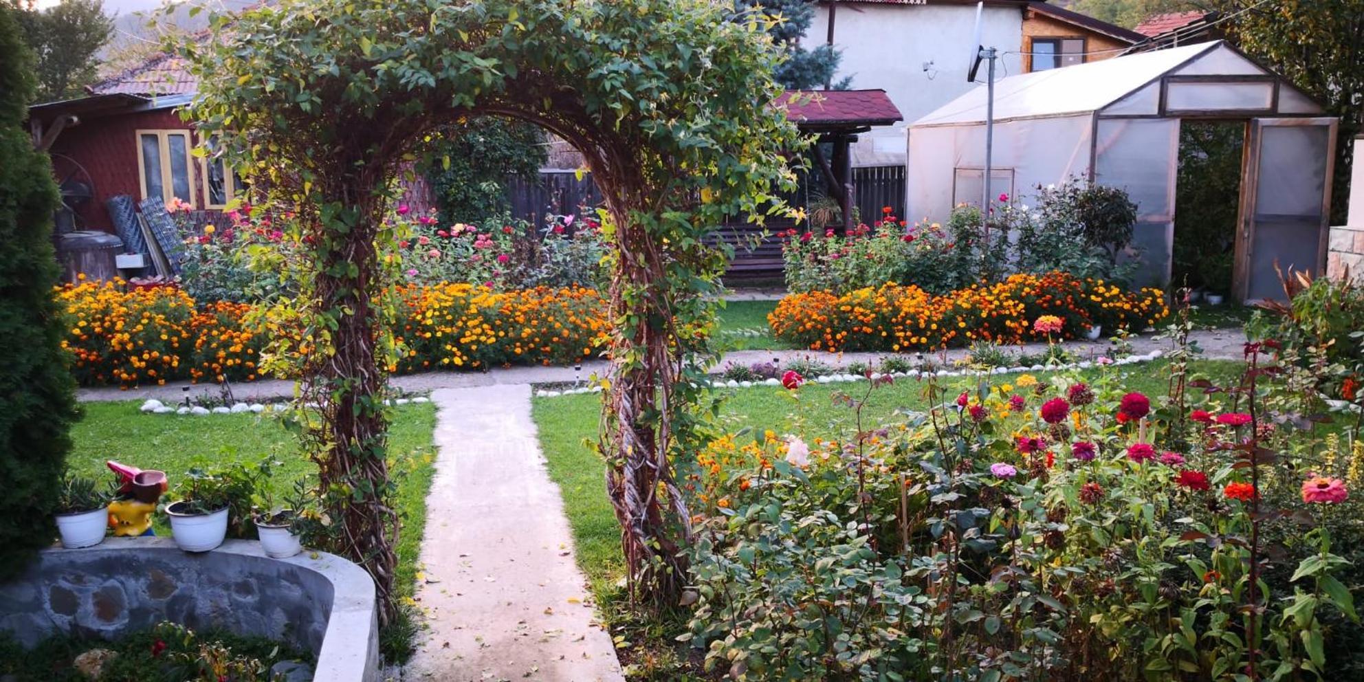 Apartmán Casa Fetic Nehoiu Exteriér fotografie