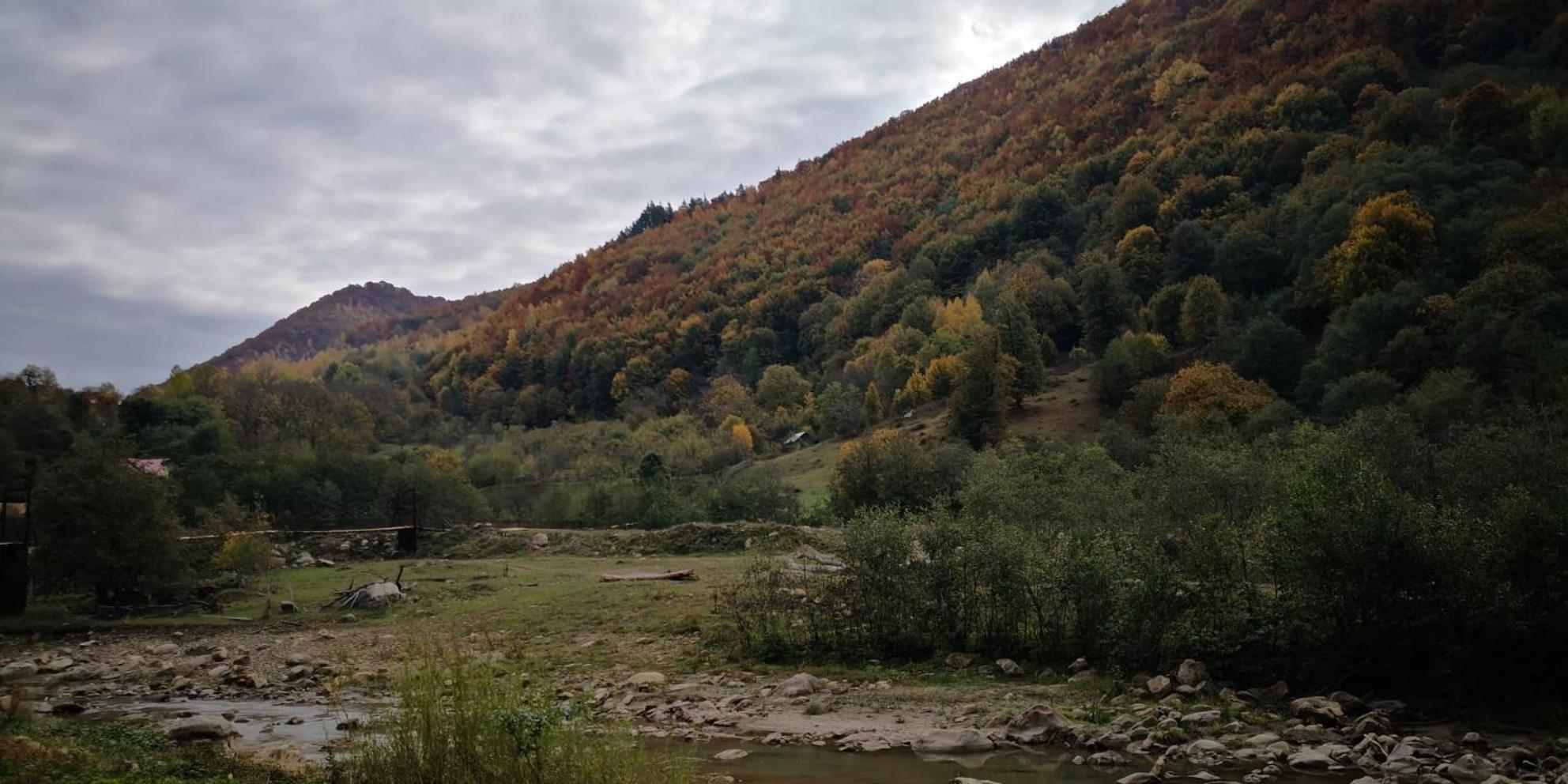 Apartmán Casa Fetic Nehoiu Exteriér fotografie