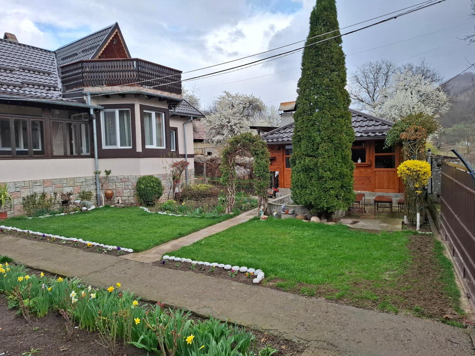 Apartmán Casa Fetic Nehoiu Exteriér fotografie
