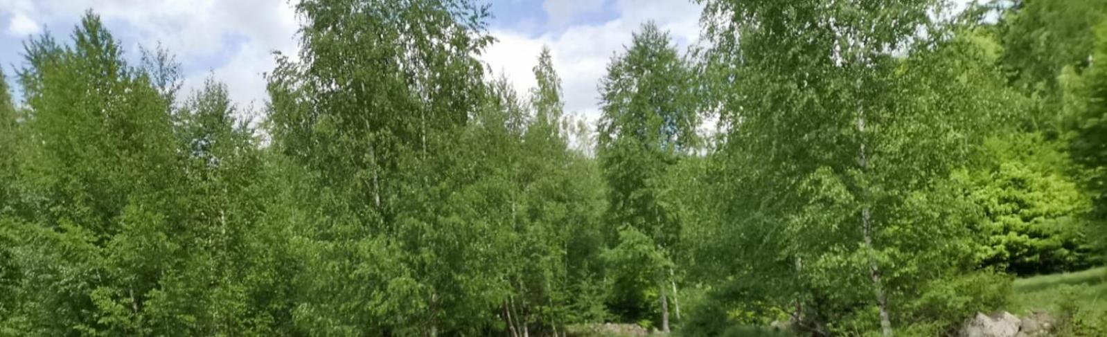 Apartmán Casa Fetic Nehoiu Exteriér fotografie