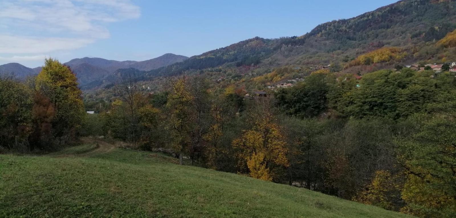 Apartmán Casa Fetic Nehoiu Exteriér fotografie