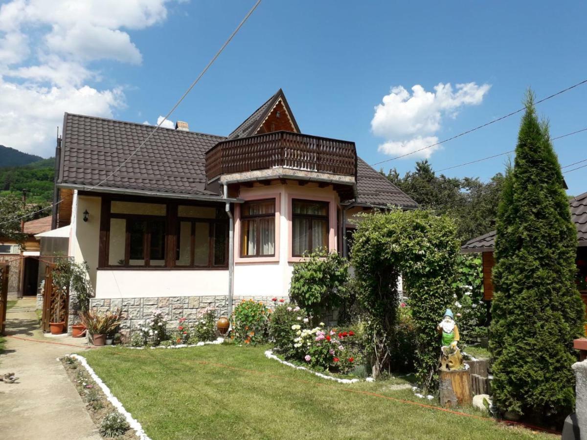 Apartmán Casa Fetic Nehoiu Exteriér fotografie