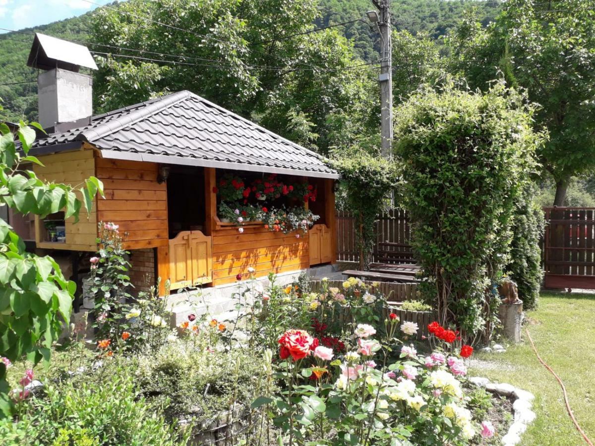 Apartmán Casa Fetic Nehoiu Exteriér fotografie