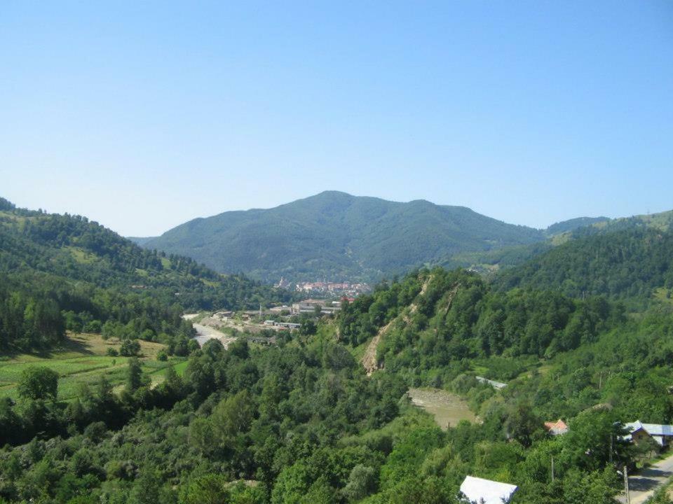 Apartmán Casa Fetic Nehoiu Exteriér fotografie